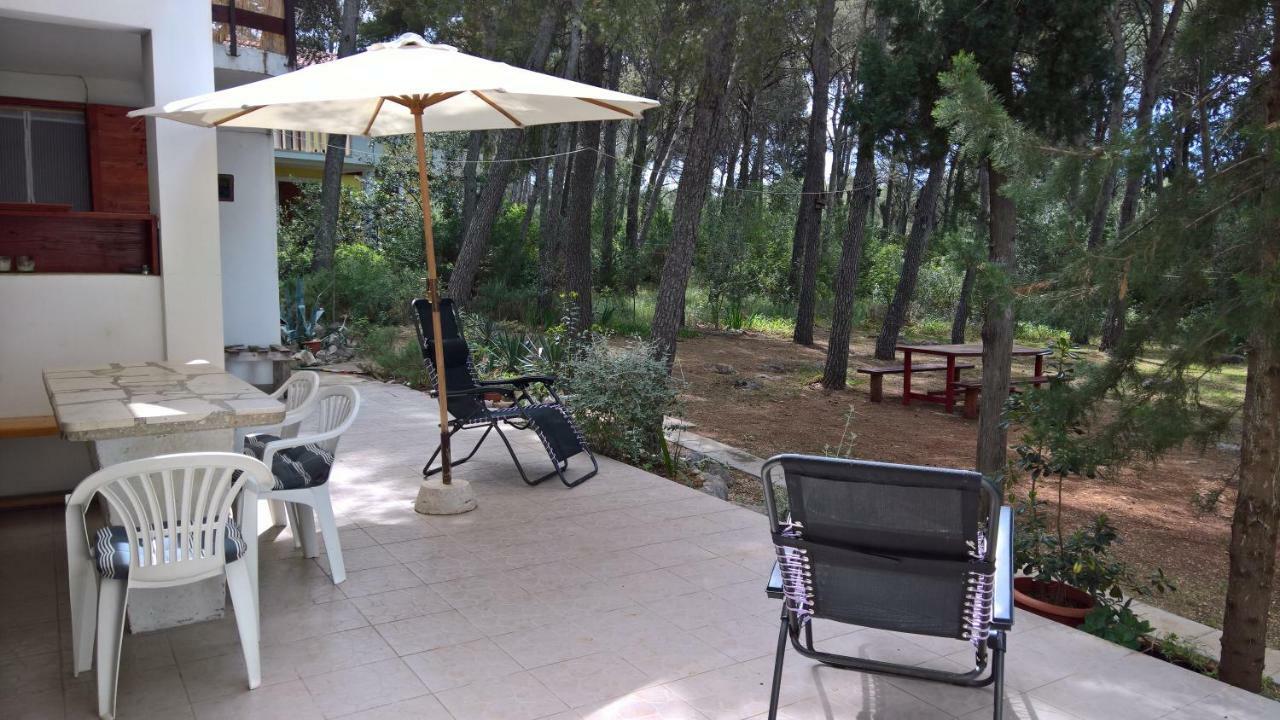 Mirce Apartments Vera - Mirca מראה חיצוני תמונה