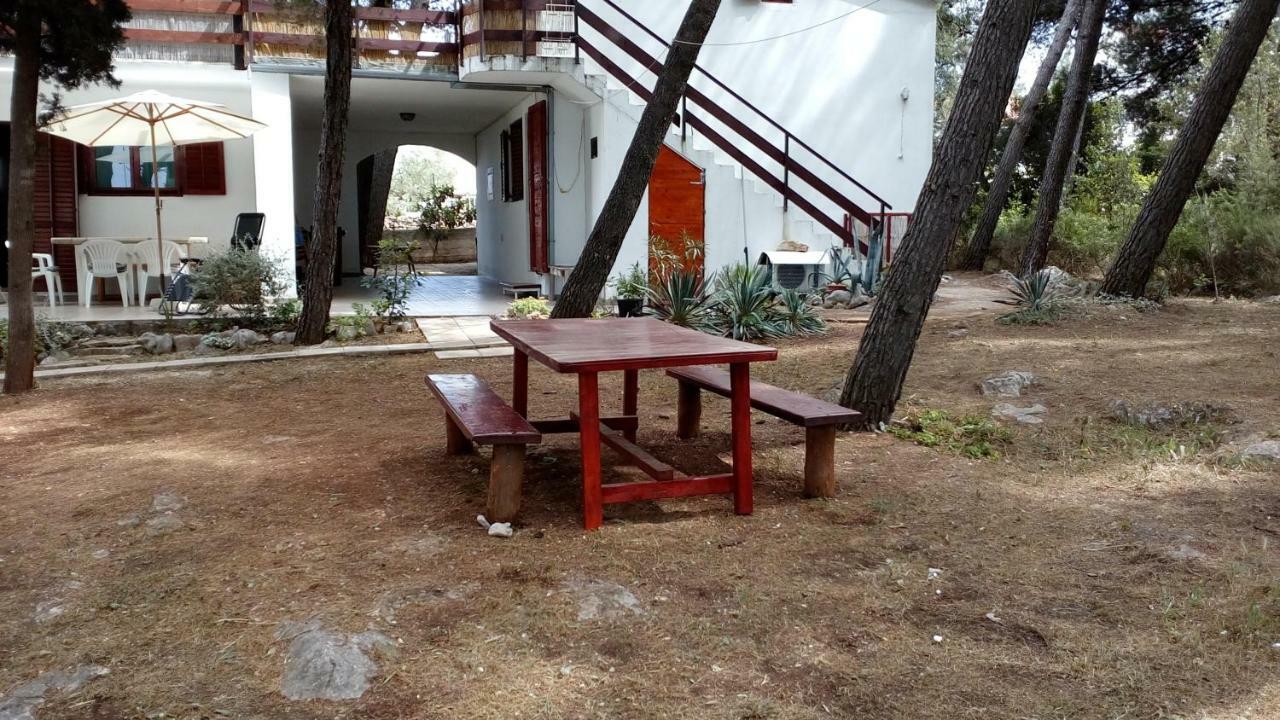 Mirce Apartments Vera - Mirca מראה חיצוני תמונה