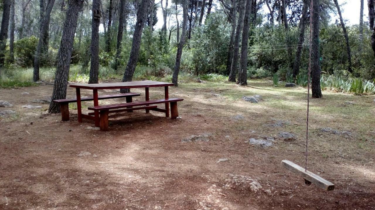 Mirce Apartments Vera - Mirca מראה חיצוני תמונה