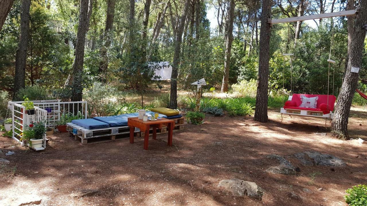 Mirce Apartments Vera - Mirca מראה חיצוני תמונה